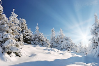 Beautiful Snow covered Winter Scene